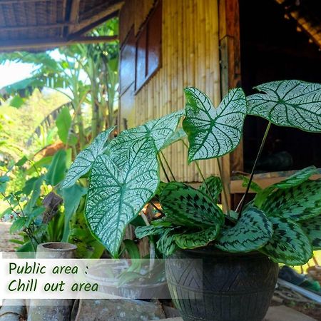 Theppahrak Home Khaolak 蔻立 外观 照片